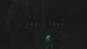 XEE - How I Feel